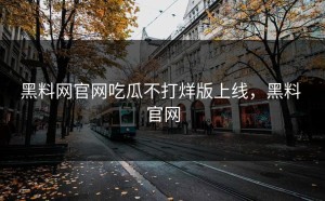 黑料网官网吃瓜不打烊版上线，黑料 官网