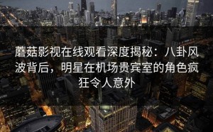 蘑菇影视在线观看深度揭秘：八卦风波背后，明星在机场贵宾室的角色疯狂令人意外