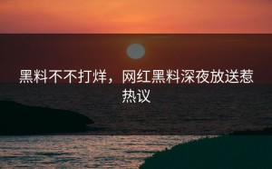 黑料不不打烊，网红黑料深夜放送惹热议