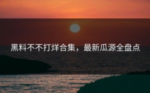 黑料不不打烊合集，最新瓜源全盘点