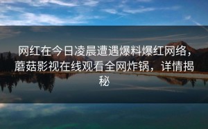 网红在今日凌晨遭遇爆料爆红网络，蘑菇影视在线观看全网炸锅，详情揭秘