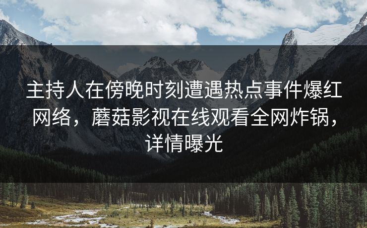 主持人在傍晚时刻遭遇热点事件爆红网络，蘑菇影视在线观看全网炸锅，详情曝光