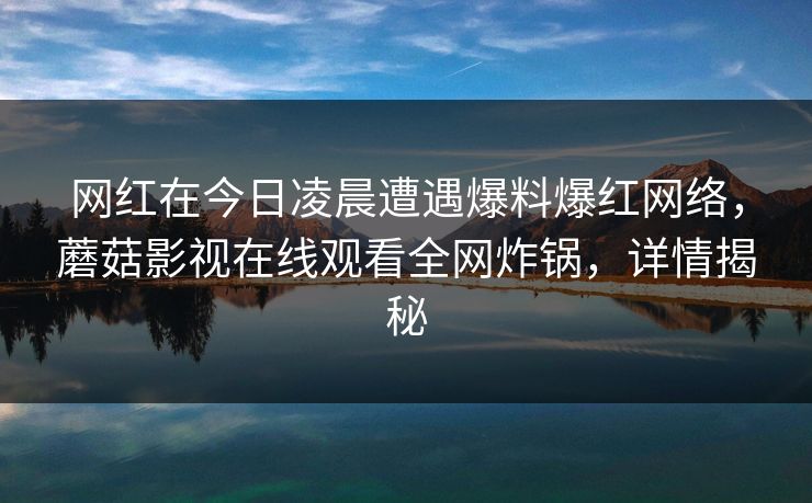 网红在今日凌晨遭遇爆料爆红网络，蘑菇影视在线观看全网炸锅，详情揭秘